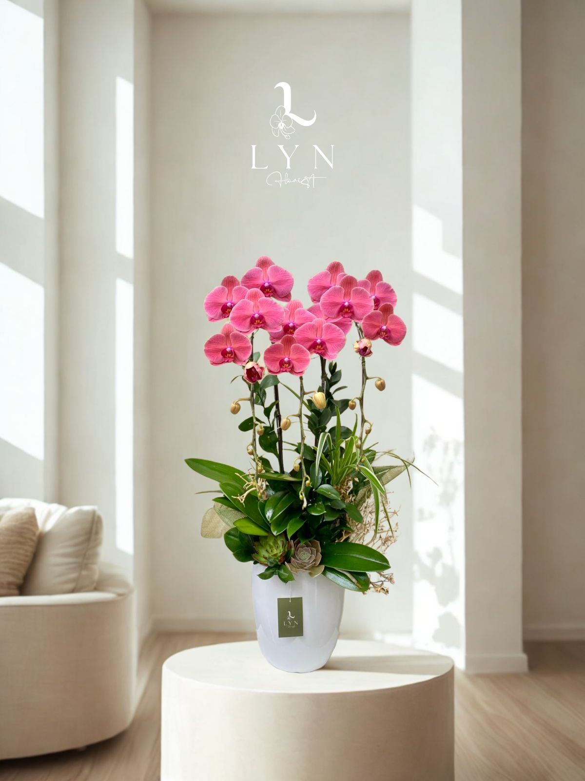 Chậu Hoa Lan Hồ Điệp Cam Hồng